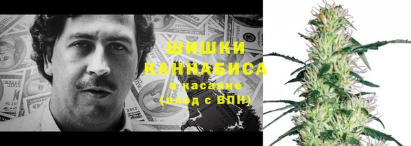 spice Верхний Тагил
