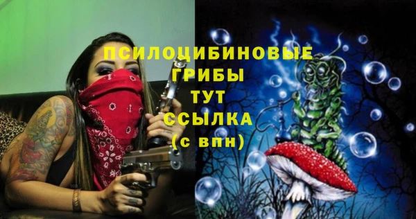 spice Верхний Тагил
