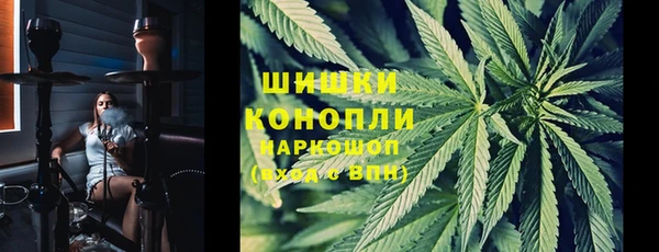 spice Верхний Тагил