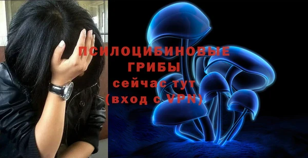 spice Верхний Тагил