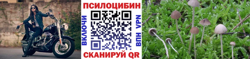 blacksprut ССЫЛКА Ижевск Галлюциногенные грибы Psilocybine cubensis